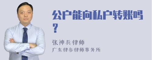 公户能向私户转账吗？