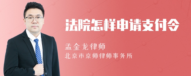 法院怎样申请支付令