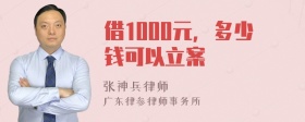 借1000元，多少钱可以立案