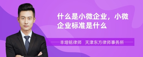 什么是小微企业，小微企业标准是什么