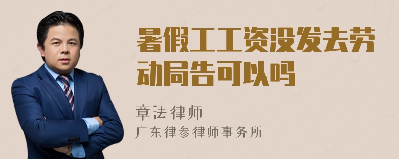 暑假工工资没发去劳动局告可以吗