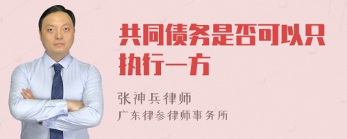 共同债务是否可以只执行一方