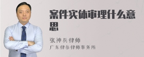 案件实体审理什么意思