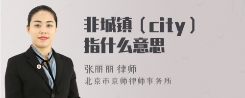 非城镇（city）指什么意思