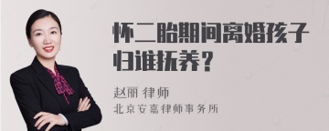 怀二胎期间离婚孩子归谁抚养？