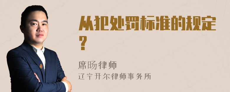 从犯处罚标准的规定?