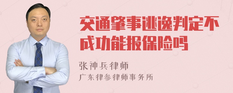 交通肇事逃逸判定不成功能报保险吗