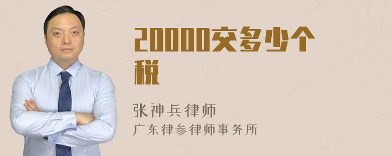 20000交多少个税