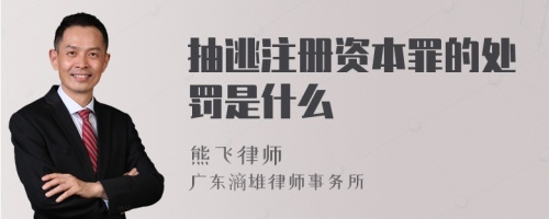 抽逃注册资本罪的处罚是什么