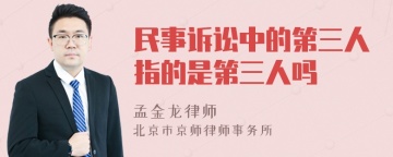 民事诉讼中的第三人指的是第三人吗