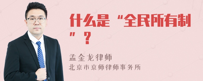 什么是“全民所有制”？