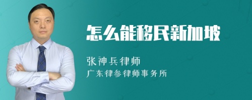 怎么能移民新加坡