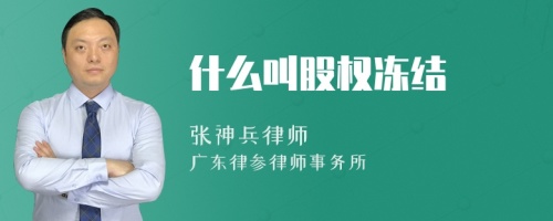 什么叫股权冻结