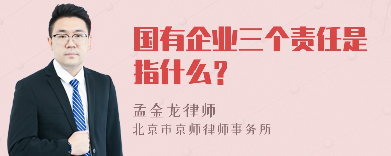 国有企业三个责任是指什么？