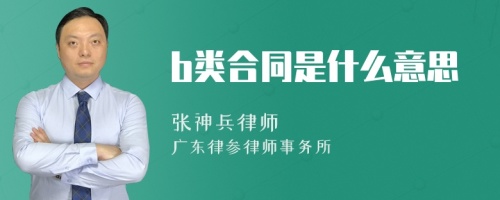 b类合同是什么意思