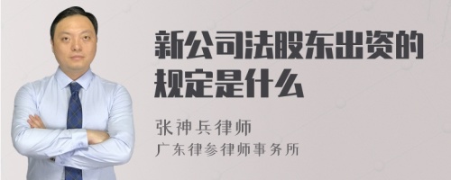 新公司法股东出资的规定是什么