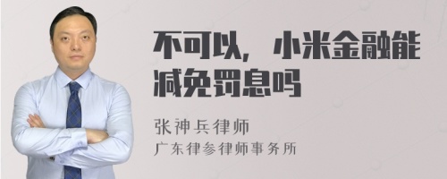 不可以，小米金融能减免罚息吗