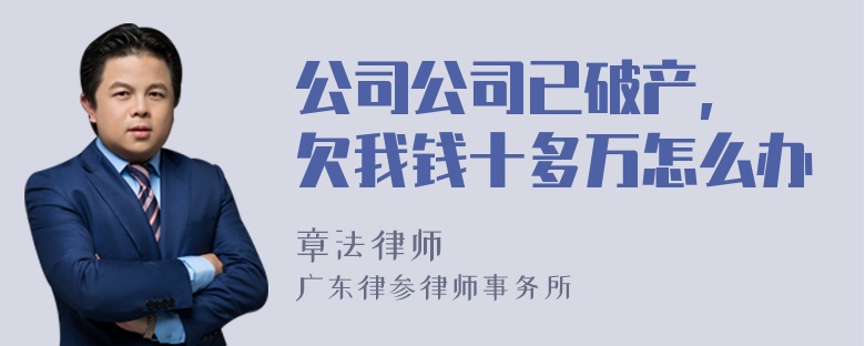 公司公司已破产, 欠我钱十多万怎么办