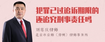 犯罪已过追诉期限的还追究刑事责任吗