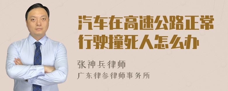 汽车在高速公路正常行驶撞死人怎么办