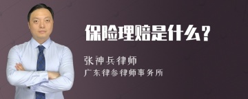 保险理赔是什么？