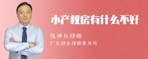 小产权房有什么不好