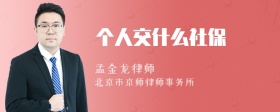 个人交什么社保