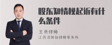 股东知情权起诉有什么条件