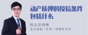 动产质押的授信条件包括什么