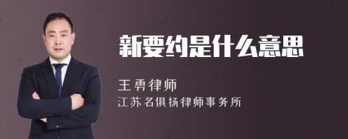 新要约是什么意思