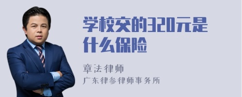 学校交的320元是什么保险