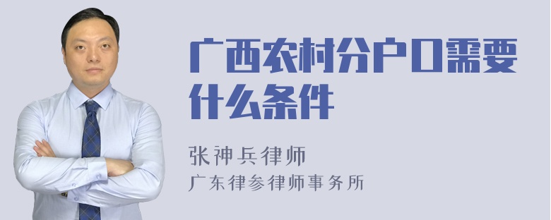 广西农村分户口需要什么条件