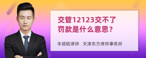 交管12123交不了罚款是什么意思？