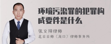 环境污染罪的犯罪构成要件是什么