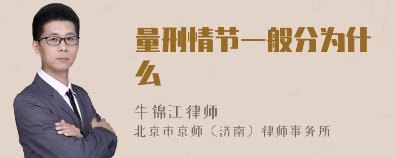 量刑情节一般分为什么