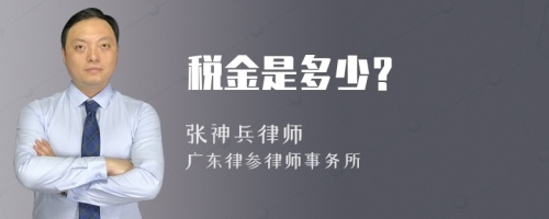 税金是多少？