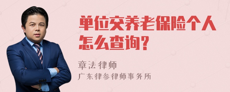 单位交养老保险个人怎么查询？