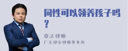 同性可以领养孩子吗？