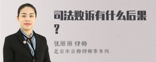 司法败诉有什么后果？