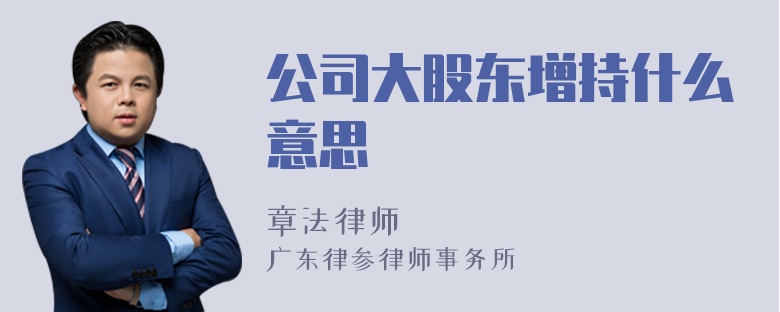 公司大股东增持什么意思