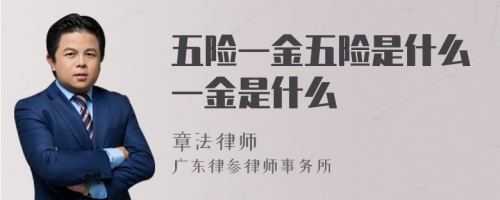 五险一金五险是什么一金是什么