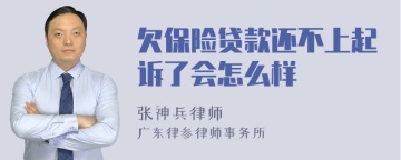 欠保险贷款还不上起诉了会怎么样