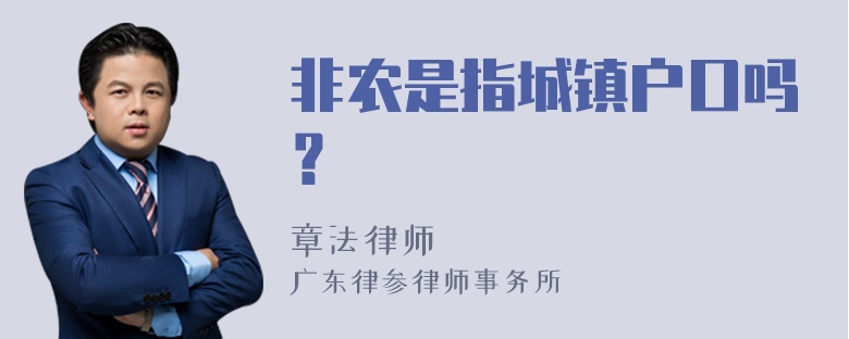 非农是指城镇户口吗？