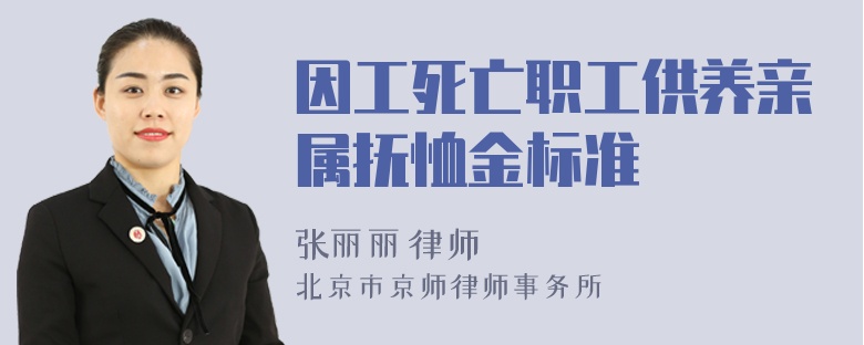 因工死亡职工供养亲属抚恤金标准