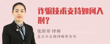 诈骗技术支持如何入刑？