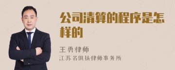 公司清算的程序是怎样的