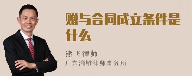 赠与合同成立条件是什么