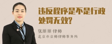 违反程序是不是行政处罚无效?