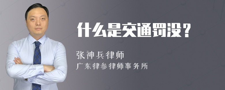 什么是交通罚没？