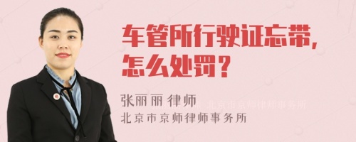 车管所行驶证忘带，怎么处罚？